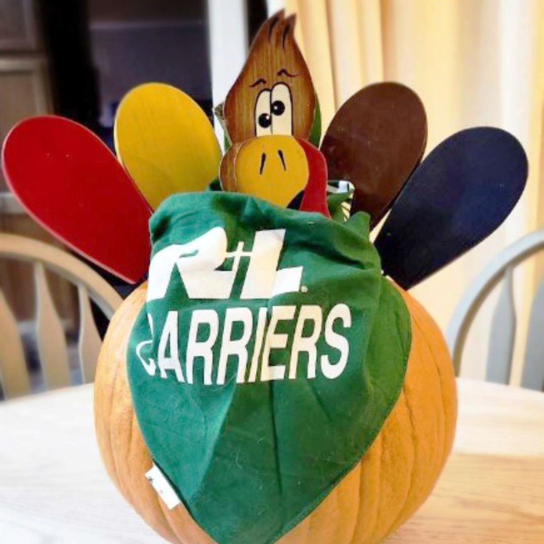 RLCarriers's tweet photo. That's one stylish turkey! 

📷: Steve S. https://t.co/coyKPBmCoo