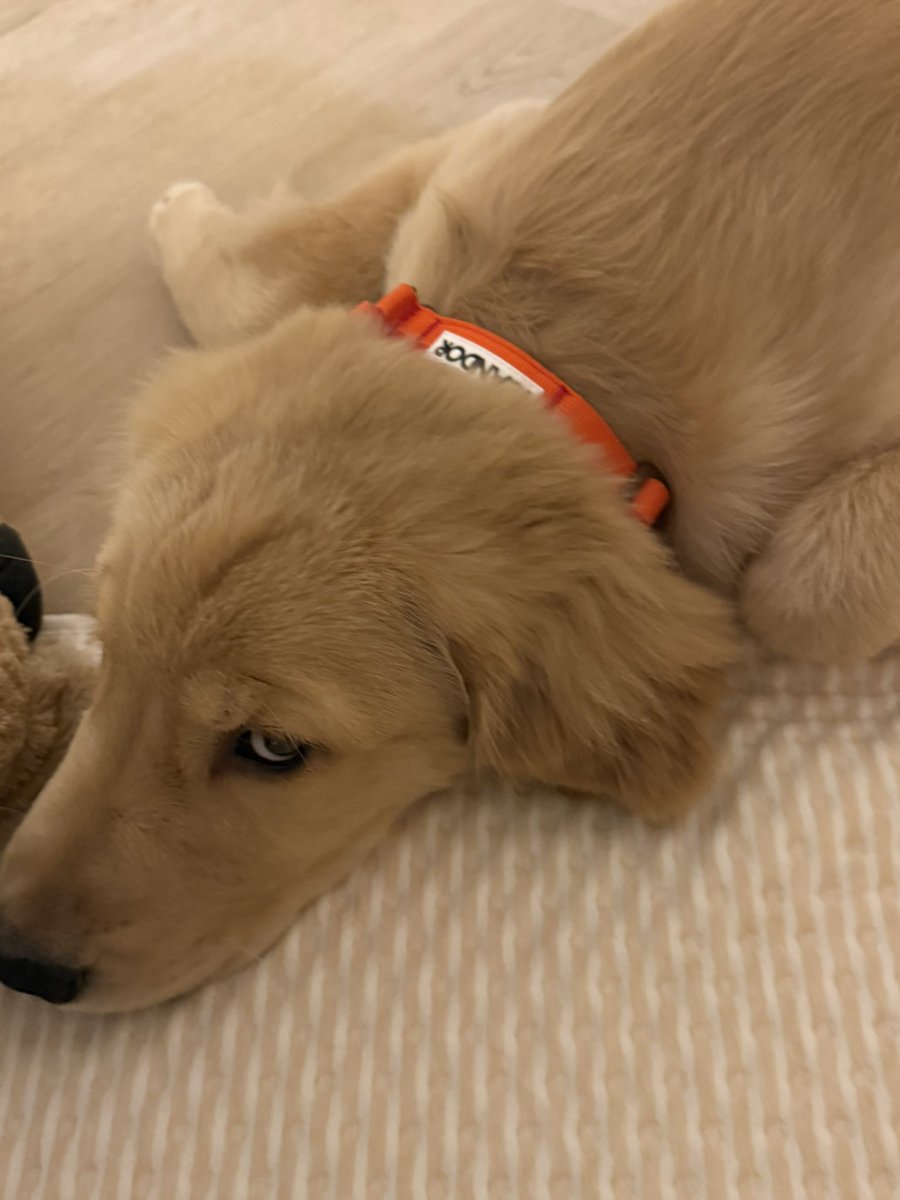 ppnaravit tweet media