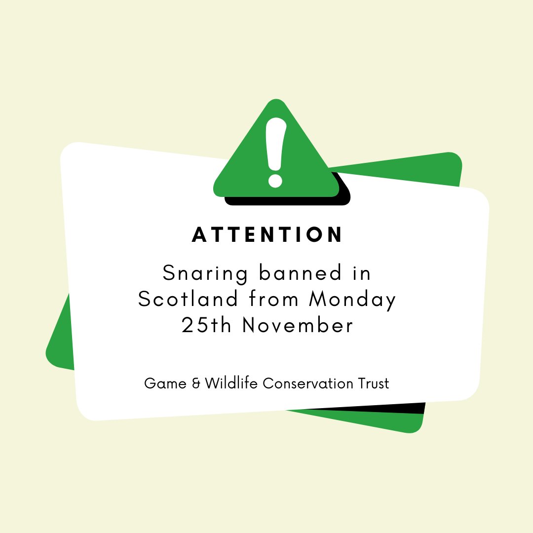 📢 Important Update

🚫 Snaring banned in Scotland from Monday, 25th November 2024

Read our latest blog for essential advice and details on this change, its implications, and how GWCT is supporting best practices in wildlife management. 🌿

🔗 Read the blog here: