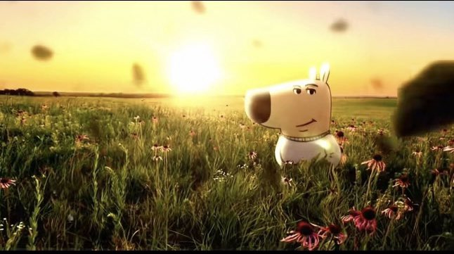 kasper (@dkaspercik) on Twitter photo 