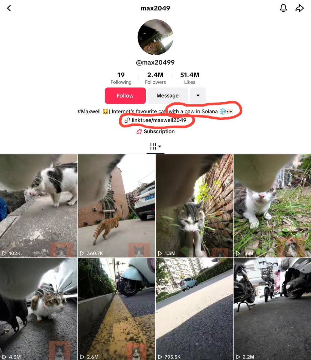 0xn4te's tweet photo. maxwell at sub 500k mcap is ridiculous mispricing btw.

probably the most mispriced cat coin on the list, 2.4 million followers, billions of views, and they have provenance.

attention to mcap ratio makes zero sense on this one. https://t.co/v7qEDJbyad
