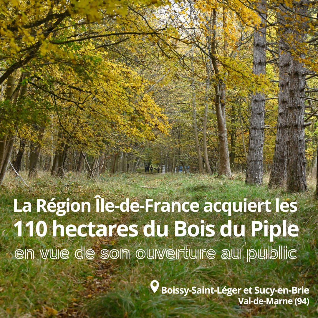 idfnature's tweet photo. La Région @iledefrance acquiert les 110 hectares du Bois du #Piple (94) en vue de son ouverture au public🌳 
📢L'une des dernières propriétés privées du Val-de-Marne, situé à @Ville_Boissy et Sucy-en-Brie (94), sera désormais gérée par @idfnature et ouverte au public dès 2026! https://t.co/VMozTV4u4E