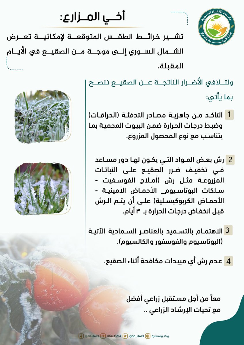 SG_MAL3's tweet photo. #نشرة_إرشادية تتضمن نصائح للمزارعين خلال موجة الصقيع.
#حكومة_الإنقاذ_السورية 
#وزارة_الزراعة_والري https://t.co/PtKwB5P0cS