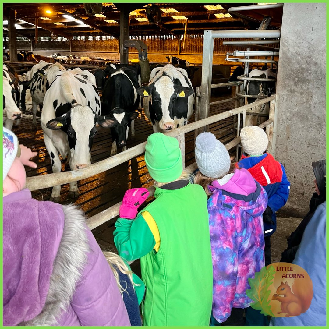 LittleAcornsCIC's tweet photo. With thanks to @TheRHET for supporting us to deliver this special opportunity to visiting a working dairy farm and Farmer Robert for taking time out of his day and for being part of the Field to Fork initiative.  #learningforsustainability #acornadventures https://t.co/Jn3c0FOlHz