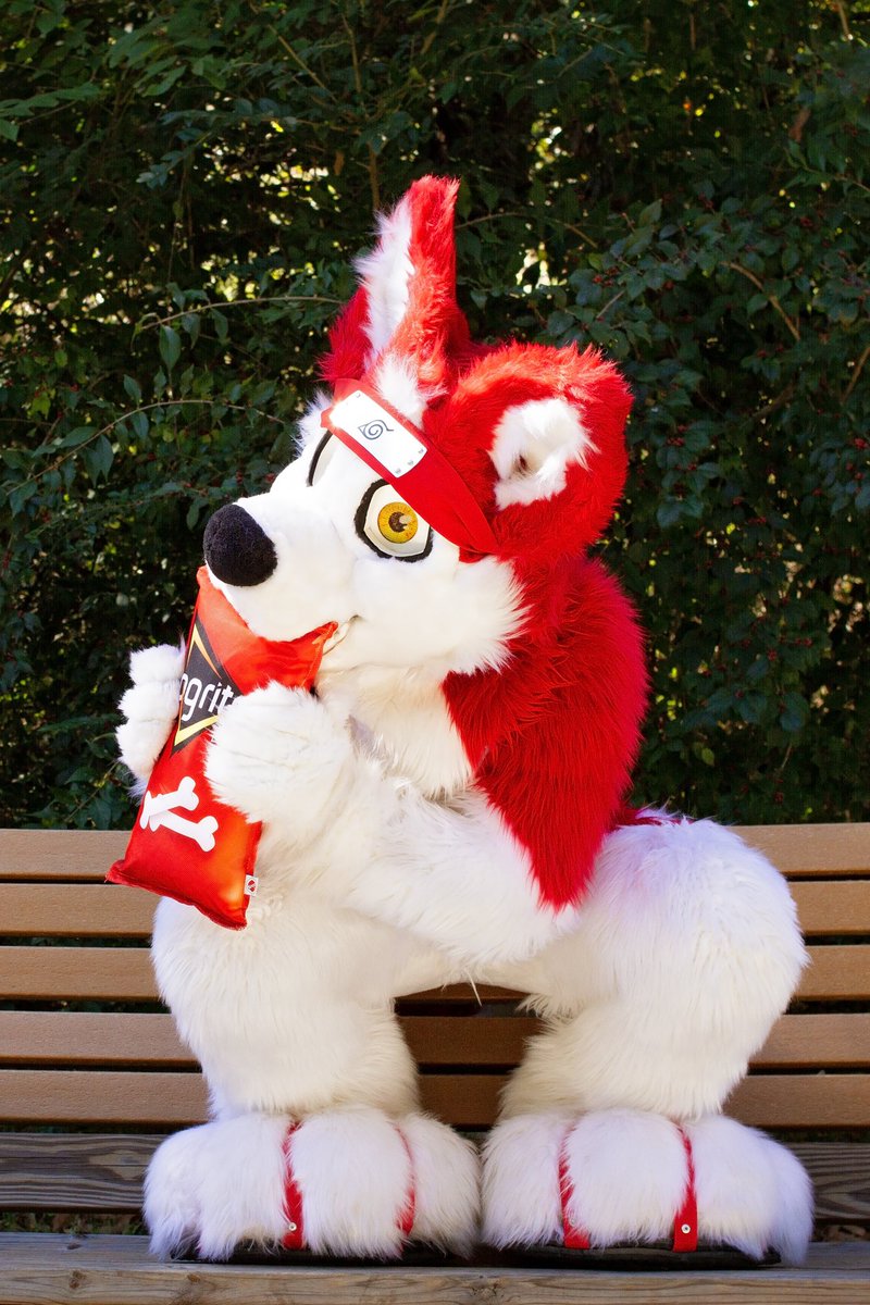 PyroHusky's tweet photo. Om Nom Nom Nom 🤤 #FursuitFriday #Fursuit #Furry

📷 Picture By: @movies2560 https://t.co/WjNqJ8l4lh