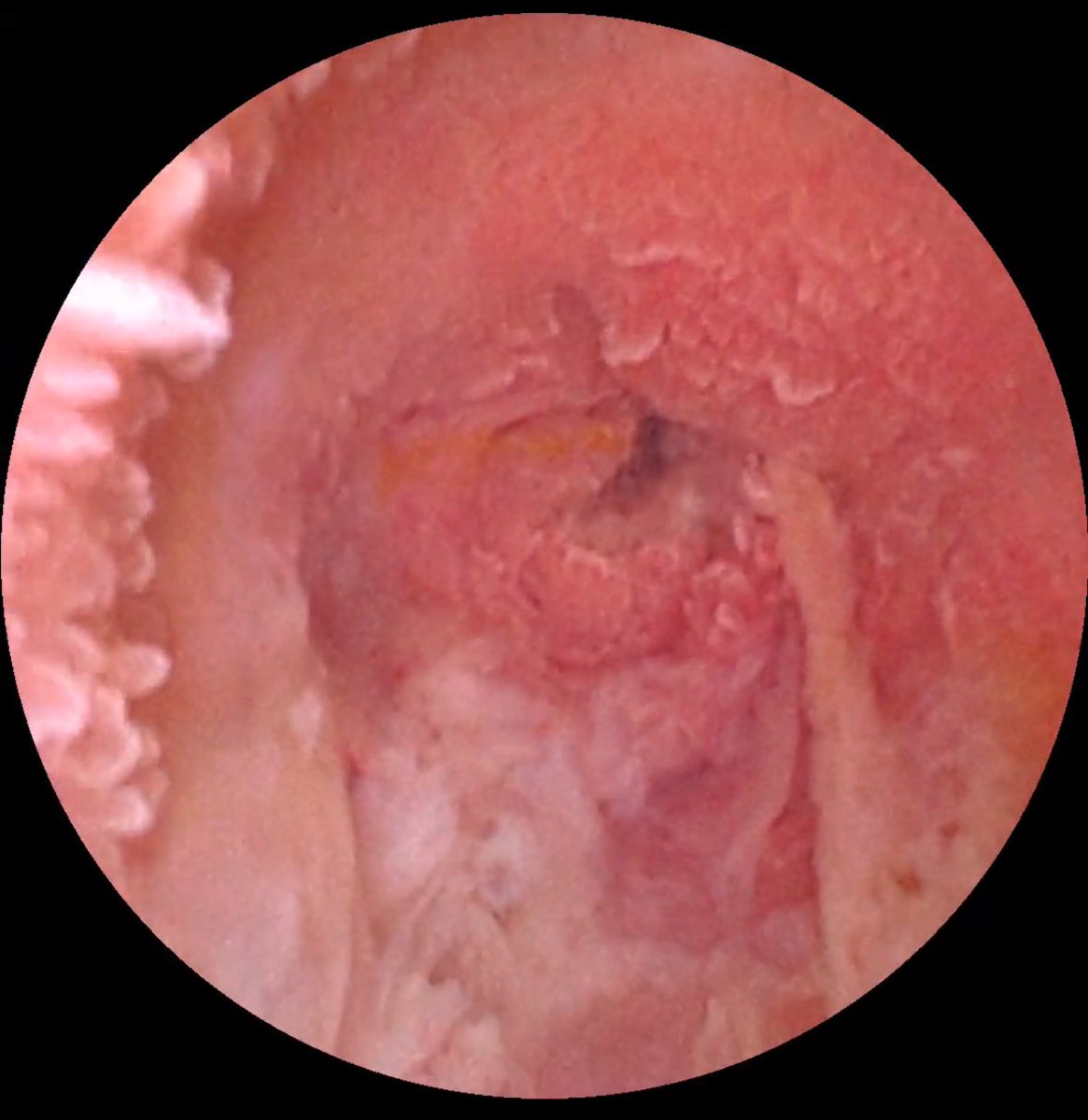 Naif Alsaikhan | د. نايف بن حمد الصيخان tweet media