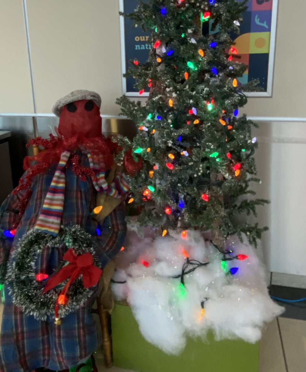 Quick trip home to #Newfoundland on margins of <a href="/HFXforum/">Halifax The Forum</a> &amp; found #YYT dressed for the holidays, complete with mummers!   An utterly wild tradition from a time when entertainment options on the island were more…rudimentary.  

Learn more: en.m.wikipedia.org/wiki/Mummering