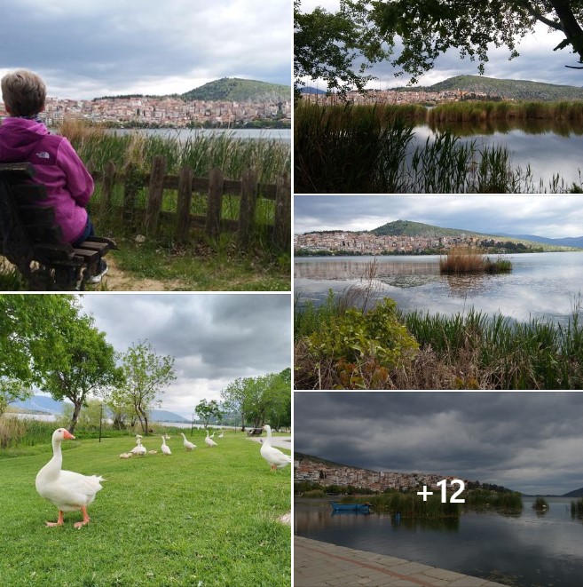 FrostieMoss's tweet image. Beautiful Kastoria and Granny&apos;s pasta sauce with spetseriko bit.ly/3WYryKf #Greekblogger #femaleblogger #Greece