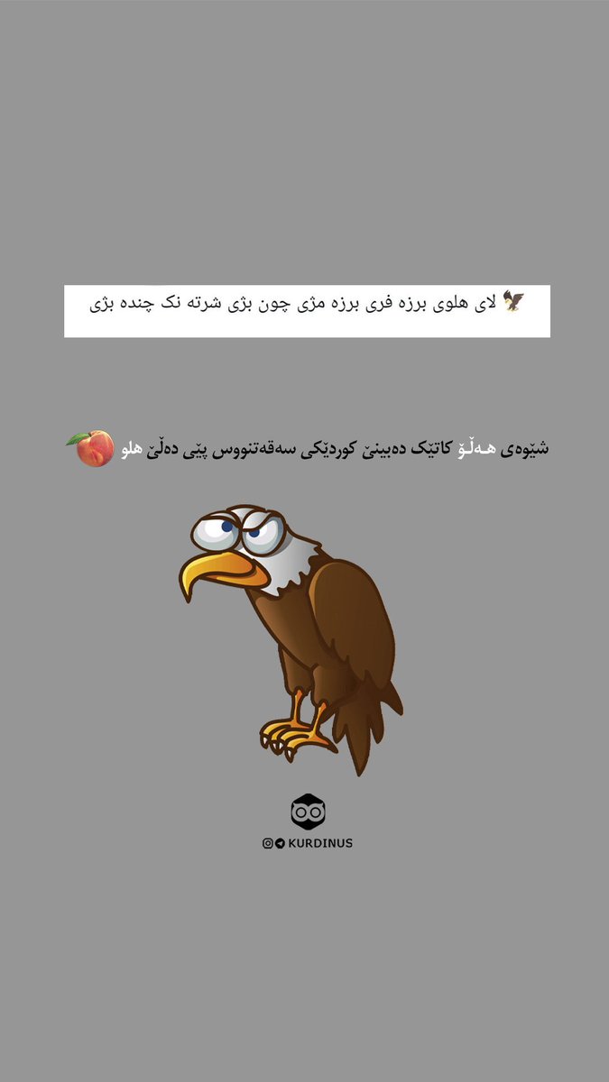 Kurdi_nus's tweet photo. شێوەی «هەڵۆ»ی چارەڕەش کاتێک دەبینێ کوردێکی سەقەتنووس پێی دەڵێ «هلو»

بە تەختەکلیلی کوردی بنووسە چاوەکەم! https://t.co/T4xbDNMrKT