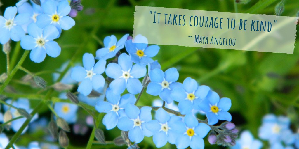 To my Twitter/X friends who enjoyed my kindness posts (and occasional snark), I am now happily posting on Bluesky and enjoying its camaraderie and positive vibe. Would love to connect with you there. bsky.app/profile/donnac…