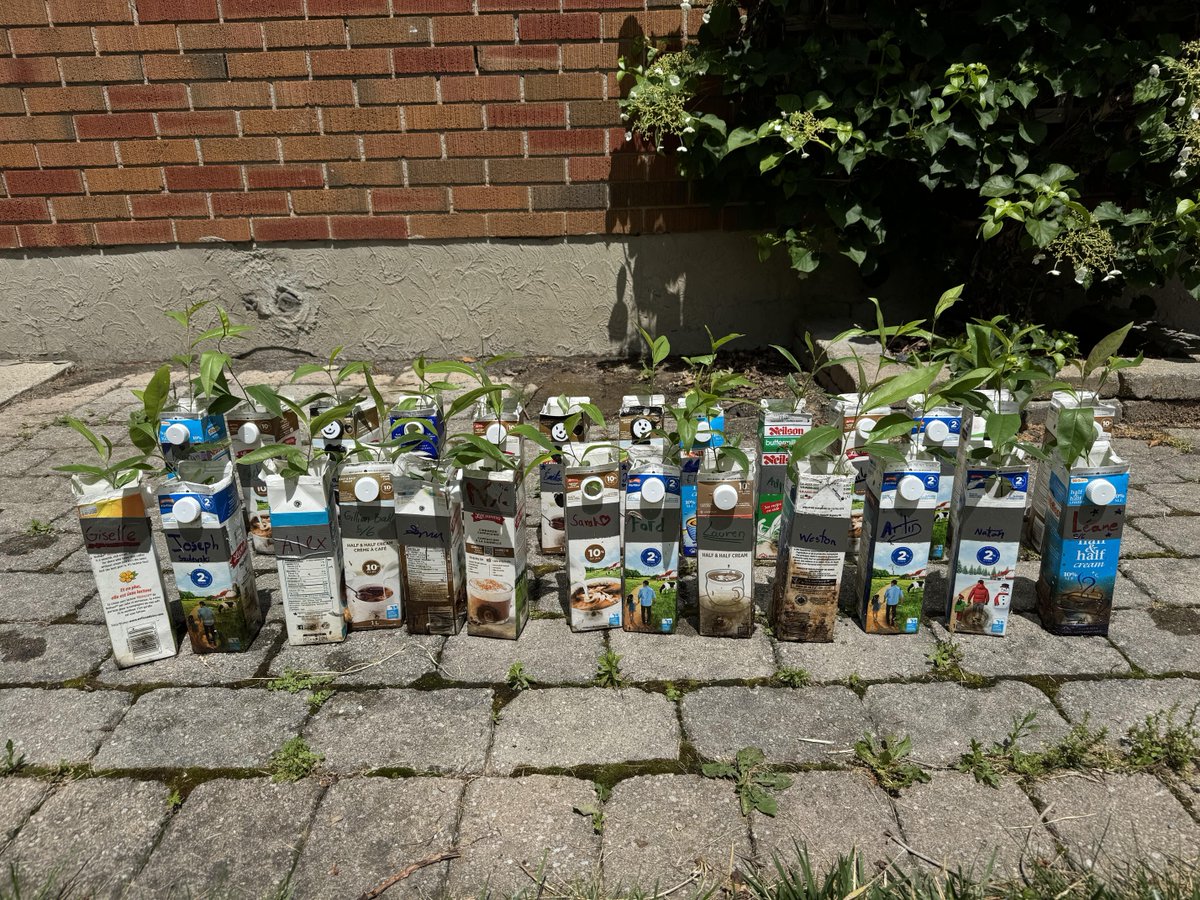 City of Kingston - Municipal Government tweet media