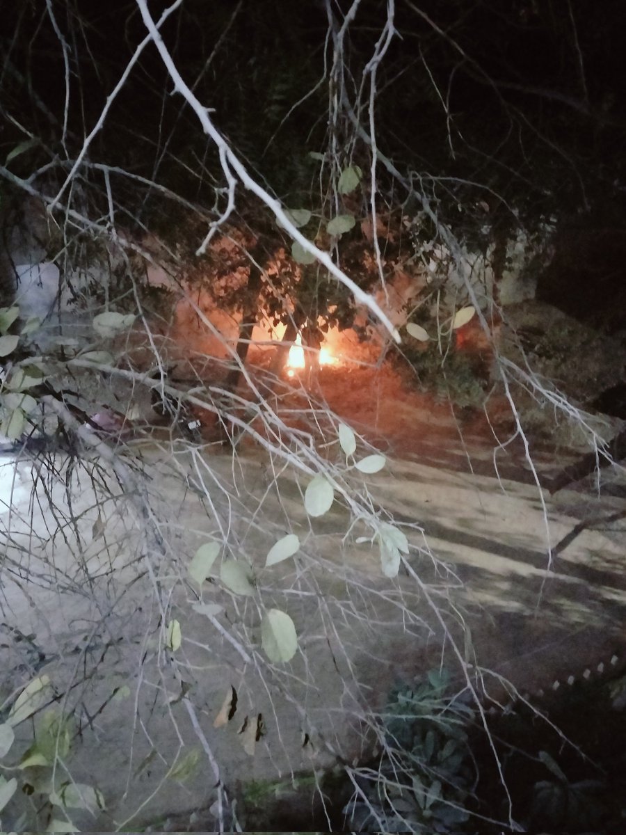 The__CommonMan's tweet photo. @CPCB_OFFICIAL @MunCorpGurugram @AmarnathB81 @swachhbharat @UNEP @UNEP_AsiaPac @moefcc @DC_Gurugram @RaoNarbir @CAQM_Official Caretaker of Lal Mandir, frequently burns dry leaves inside it's premises.
When delhi is choking due to High AQI,they have again burnt dry leaves.
Pls take Stern action.
Location:Lal Mandir, Arjun Park, Najafgarh New Delhi 110043 https://t.co/gVwYa2rc17