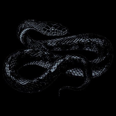 UNHOLYVIXSIA's tweet photo. [Closed starter for @lLMONDOCANE ]

Charming the Serpent. https://t.co/ARCN48BrsB