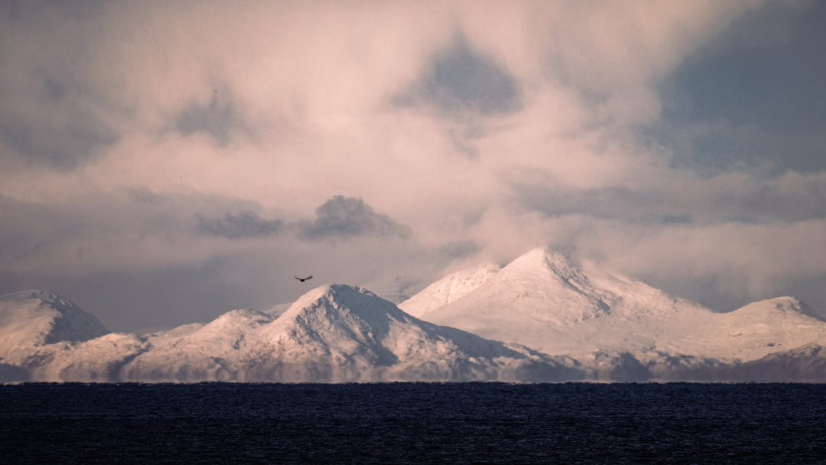 Alison Dunlop tweet media