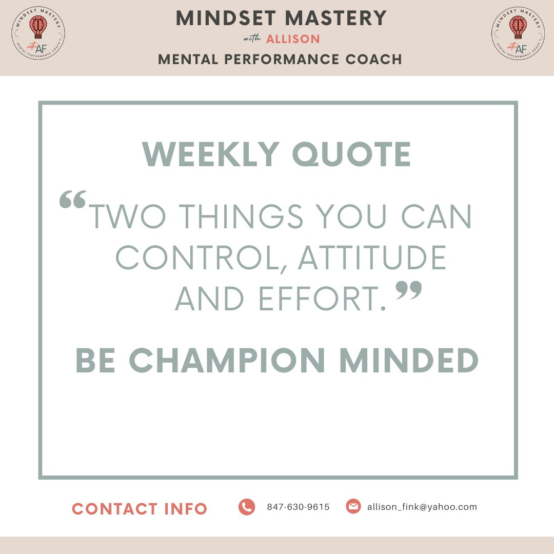 Allison Fink tweet media