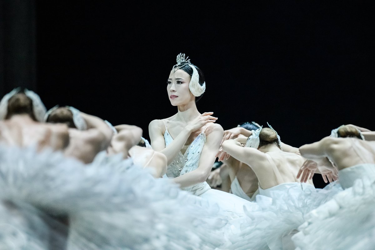 cineymas's tweet photo. #NuevasFunciones Sólo por hoy 22 de Noviembre ::: #ElLagodelosCisnes (#SwanLake) en #Showcase. #cineymas #cine #movie #Película #musical #danza 
Lee más haciendo click en el siguiente link: https://t.co/IiTIgy8Zp6 https://t.co/M0bUKyillK