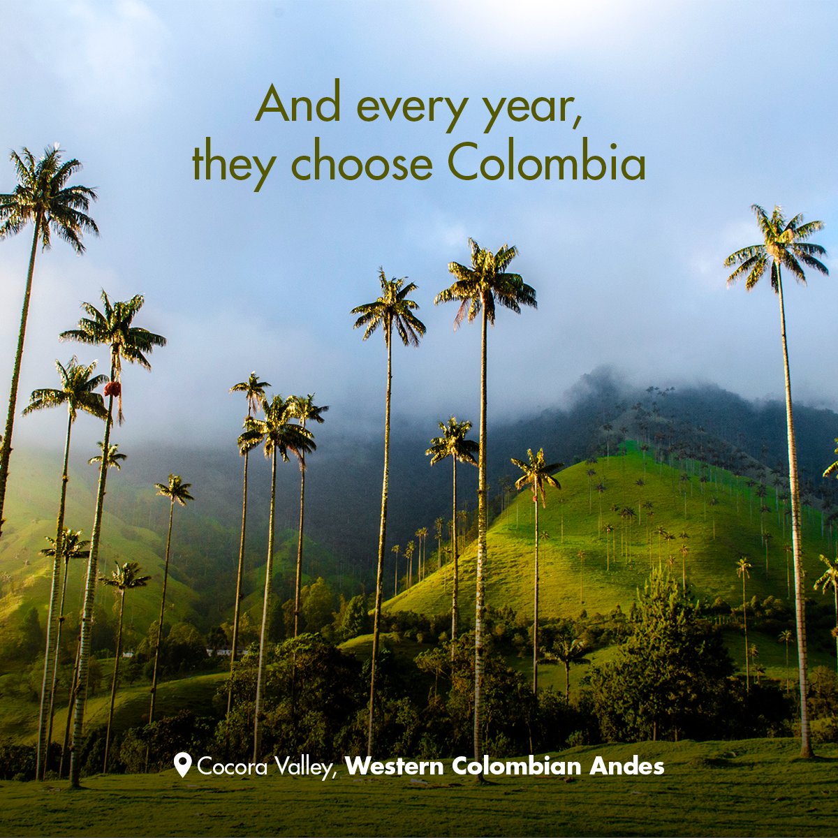 colombia_travel's tweet image. 🪶 Birds keep returning every year to enjoy all that #TheCountryOfBeauty has to offer. Follow their lead and surprise yourself with an experience you can't miss. 

Learn more at Colombia.Travel 🍃
