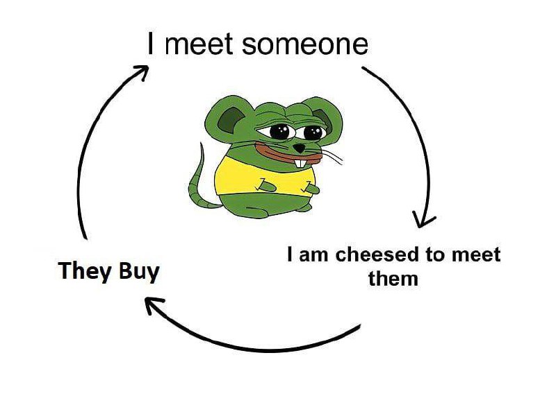 GM Frens, Its a gouda day to stack $cheese.