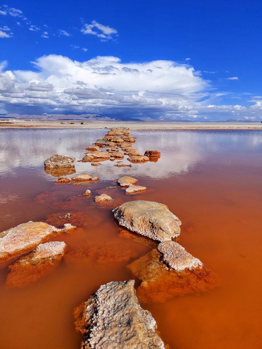 pao_renderos's tweet photo. Salar de Uyuni, un sueño para toda persona viajera que gusta de estas maravillas naturales y únicas.
El Salar de Uyuni es el desierto de sal más grande del planeta con 10,582 metros cuadrados, es decir la mitad de la extensión de El Salvador (Sigue🧵). https://t.co/DQOK5V3oHN