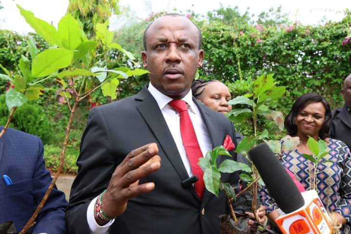 Makueni County Government (@officialmakueni) on Twitter photo Government of Makueni County releases 8,000 coffee seedlings to farmers. Another 16,000 seedlings will be distributed next week. <a href="/GvnMutula/">Mutula KilonzoJR CBS</a> urges farmers to embrace coffee farming. Government of Makueni County releases 8,000 coffee seedlings to farmers. Another 16,000 seedlings will be distributed next week. <a href="/GvnMutula/">Mutula KilonzoJR CBS</a> urges farmers to embrace coffee farming.