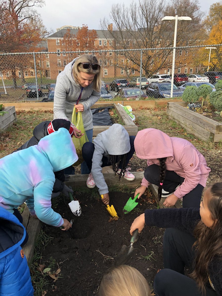 JenBuckleyVA's tweet photo. Ms. Treanor’s 4th grade scientists enjoyed a visit to the Barrett Garden to plant daffodil bulbs and check on herb plantings with ⁦@KWBLombardi⁩ #KWBPride https://t.co/nDrDZouGTY