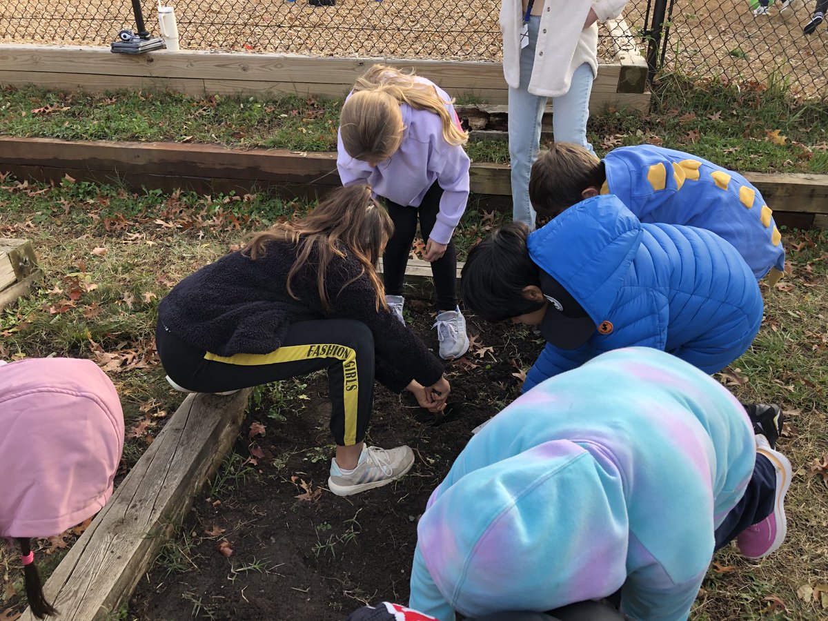 JenBuckleyVA's tweet photo. Ms. Treanor’s 4th grade scientists enjoyed a visit to the Barrett Garden to plant daffodil bulbs and check on herb plantings with ⁦@KWBLombardi⁩ #KWBPride https://t.co/nDrDZouGTY