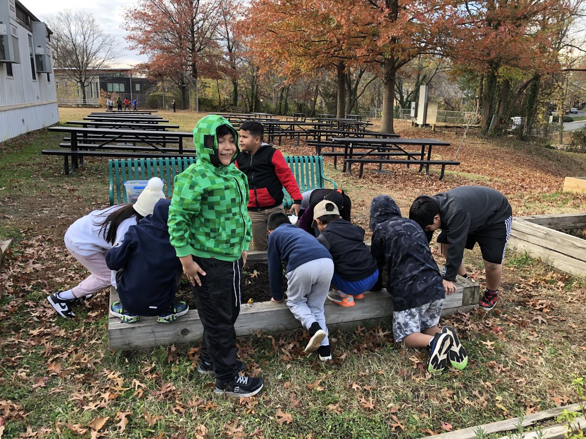 Ms. Treanor’s 4th grade scientists enjoyed a visit to the Barrett Garden to plant daffodil bulbs and check on herb plantings with ⁦<a href="/KWBLombardi/">Carrie Lombardi</a>⁩ #KWBPride