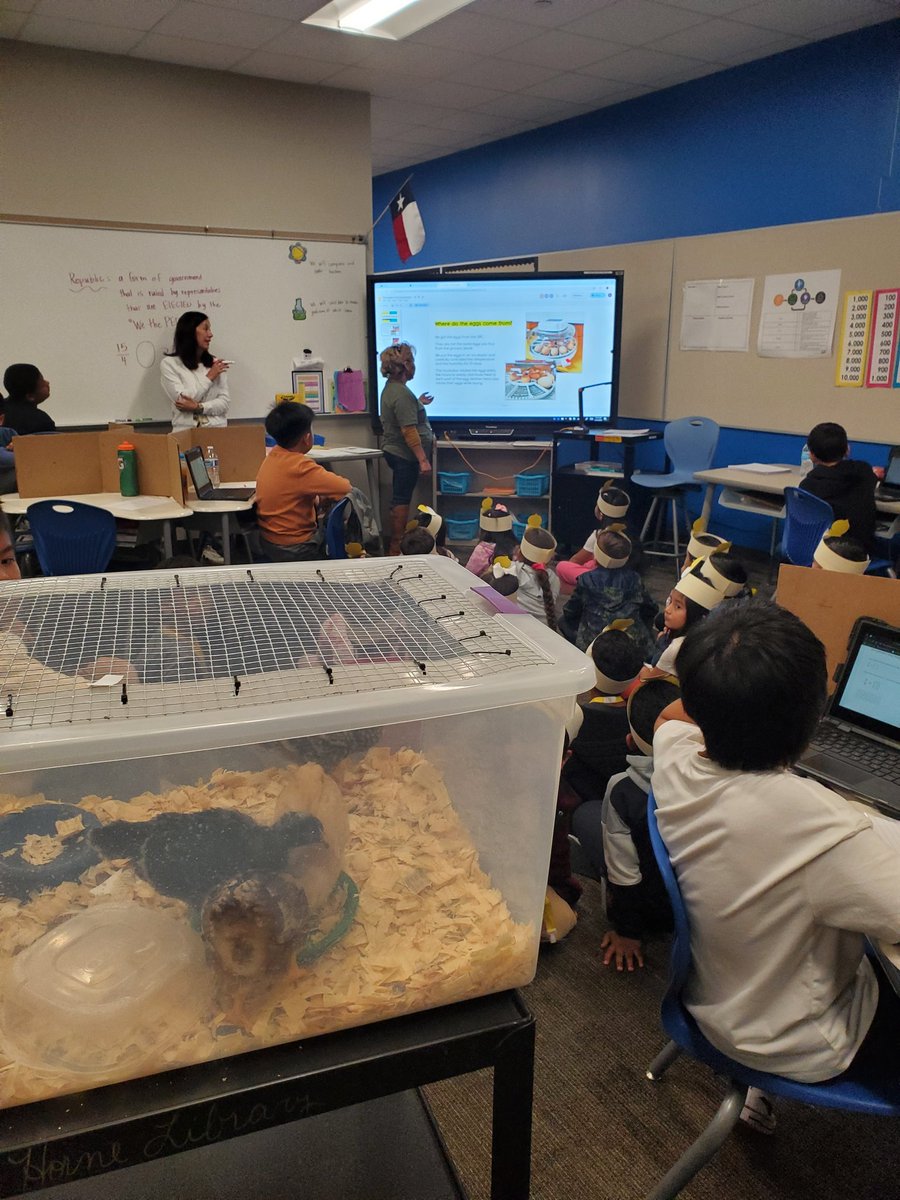 VAvalos7's tweet photo. Great Chicken Day presentation by Ms. Bryant's 1st grade class! 
@HorneElementary @CFISDPK1 @CyFairISD https://t.co/sdGlspncTx