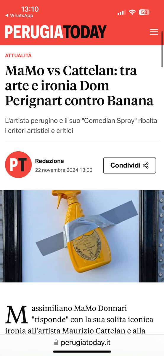 MaMo tweet media