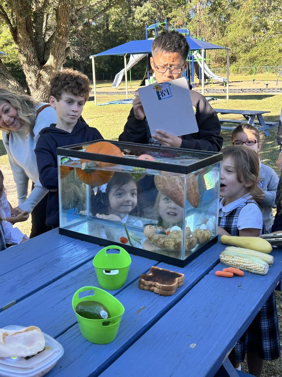 SCSSeahawks's tweet image. K4 and their 7th grade #prayerpartners played #sinkorfloat yesterday and had a blast! We’re winding down the week with lots of fun activities before Thanksgiving break!🦃