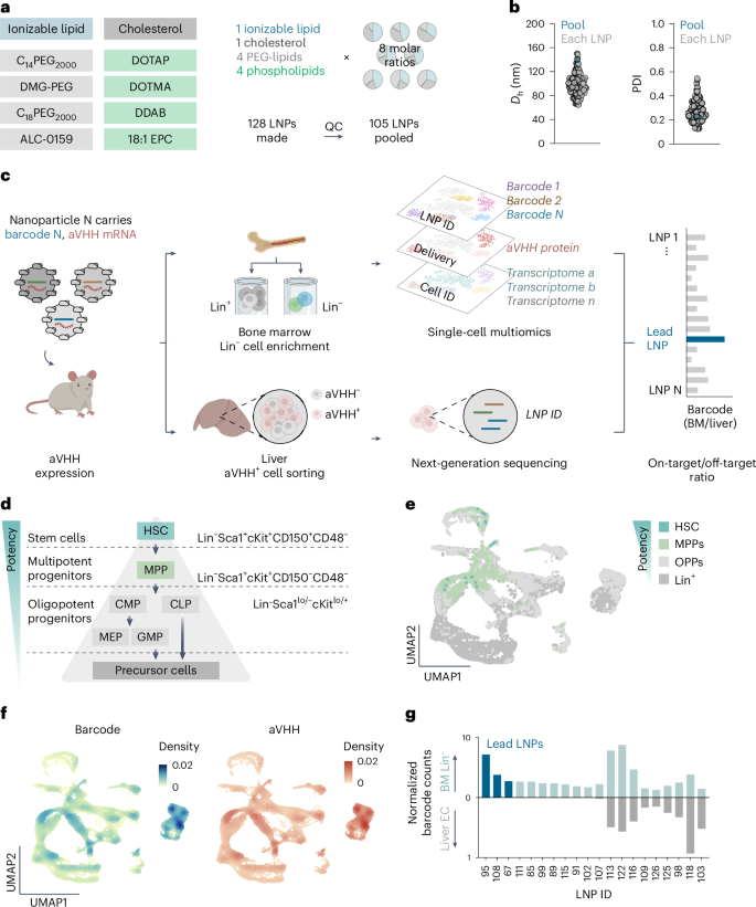 Lipid nanoparticle-mediated mRNA delivery to CD34+ cells in rhesus monkeys go.nature.com/3CGO1Dy