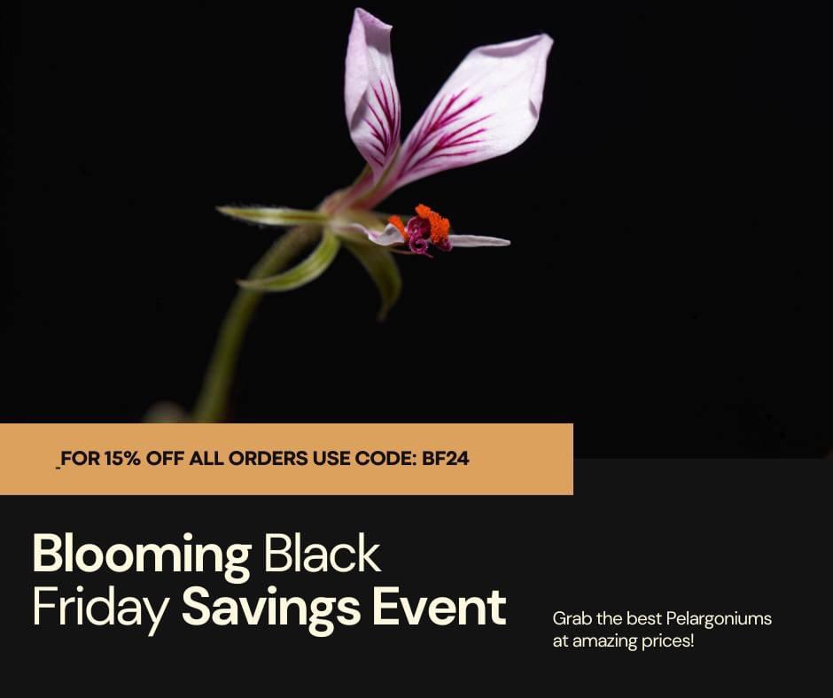 Fibrex Nurseries (@fibrexnurseries) on Twitter photo The Fibrex Black Friday sale has landed! Head over to our website to secure your 15% off. 
fibrex.co.uk The Fibrex Black Friday sale has landed! Head over to our website to secure your 15% off. 
fibrex.co.uk