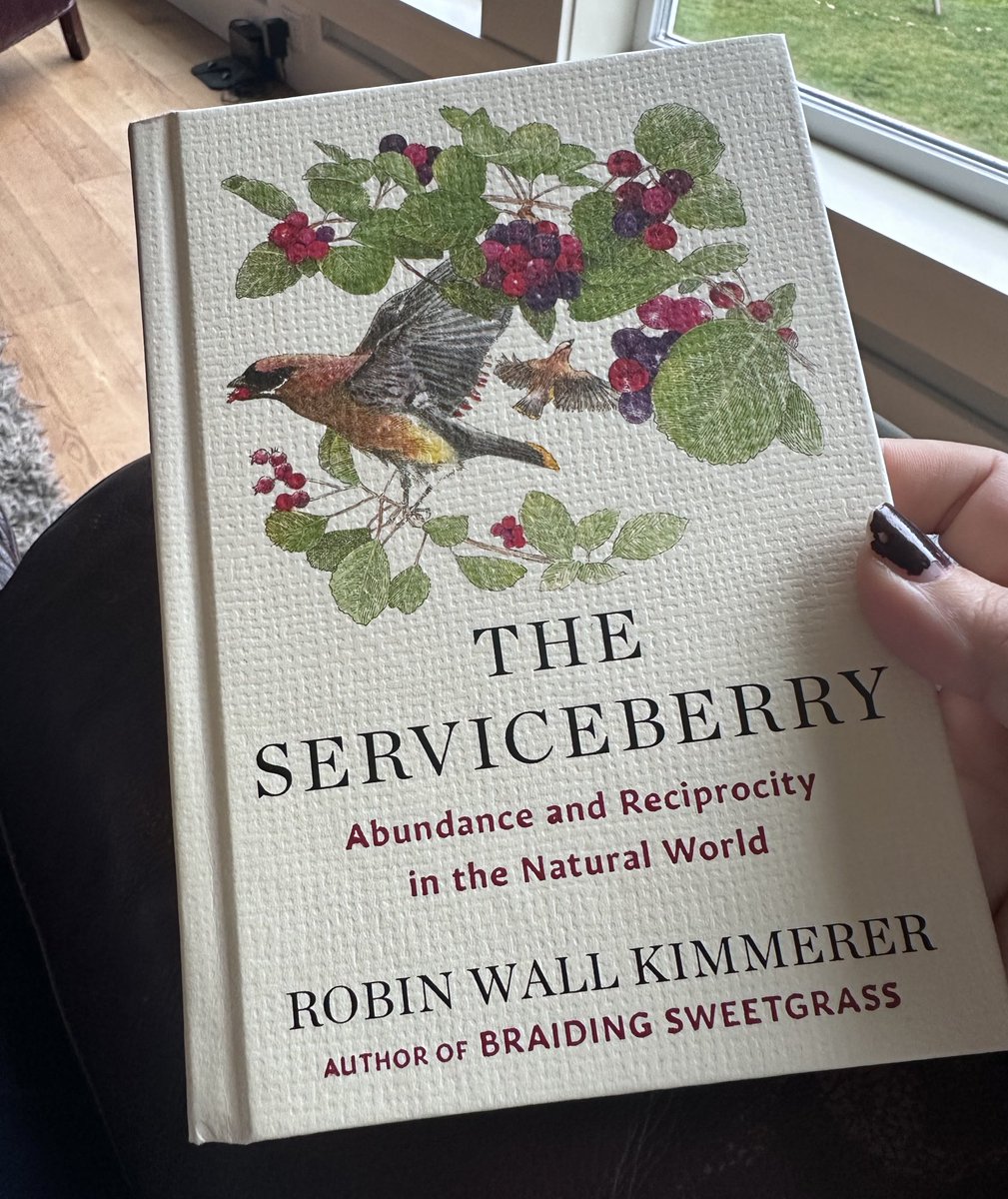 Can’t quite believe I’m holding an advanced review copy of this! Exciting announcement, coming soon! #indigenousstem #nativesinstem #ecology