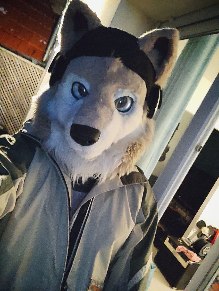 Winter gear, hanging out in the snow
#FursuitFriday