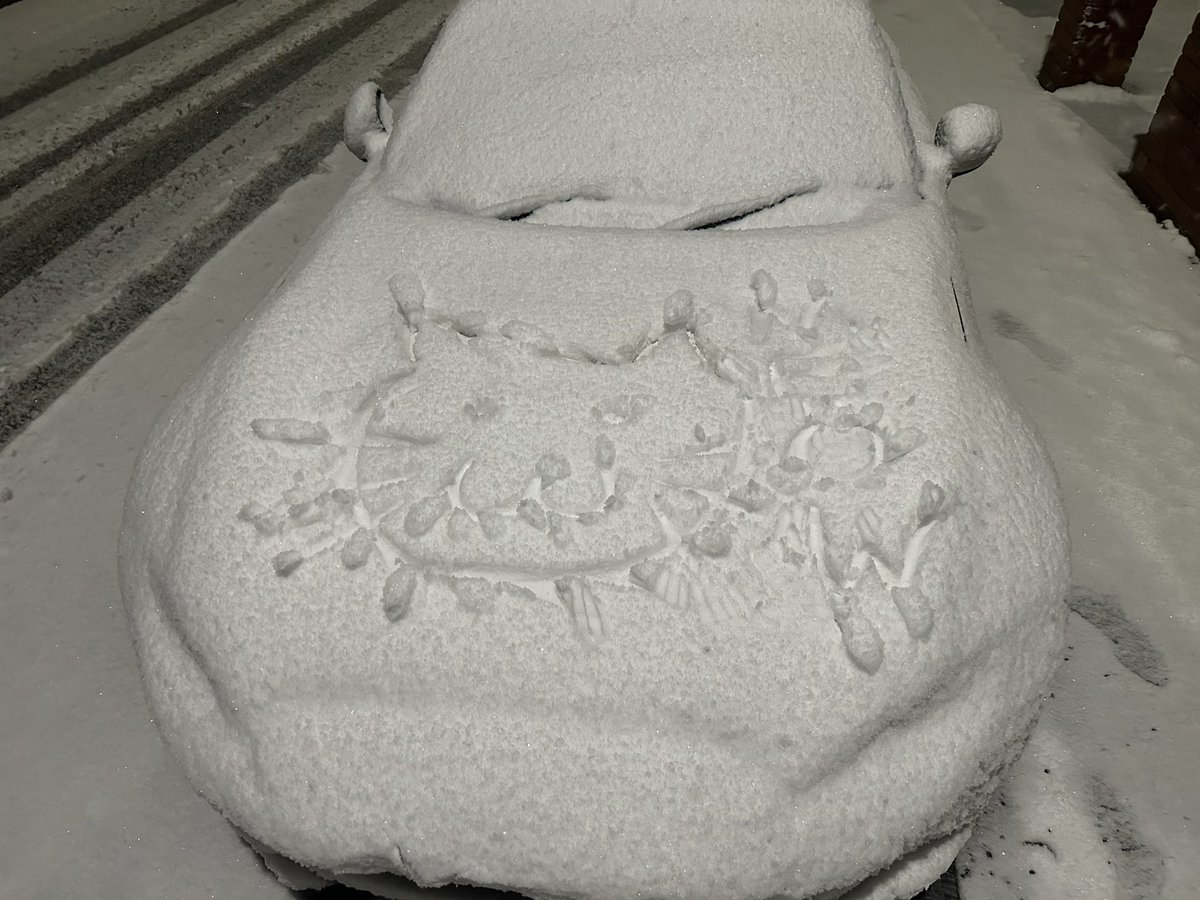 Mango🥭 tweet media