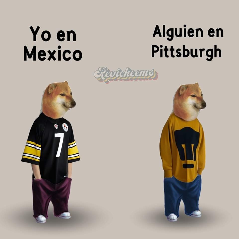 Pumas En La Piel tweet media