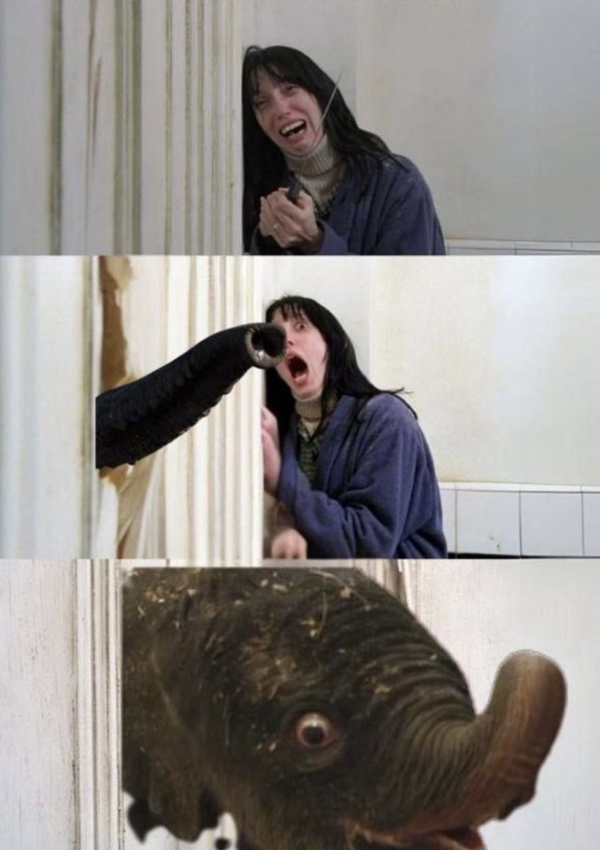 MemeMan_Dex tweet media