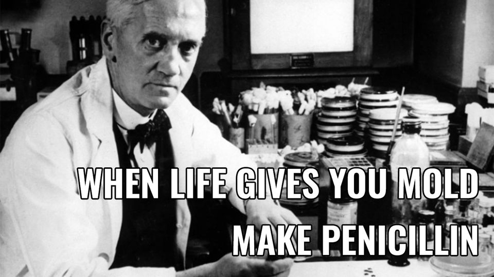 IBMS #AtTheHeartOfHealthcare tweet media