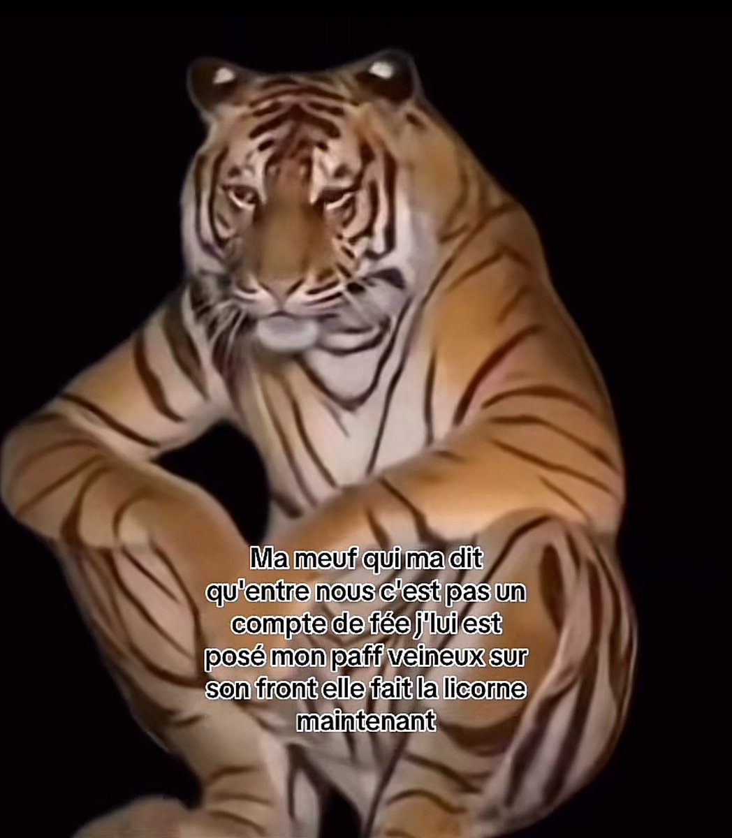 213pourSang's tweet photo. 8️⃣ La trend tigre https://t.co/9WpXBRj8Wj