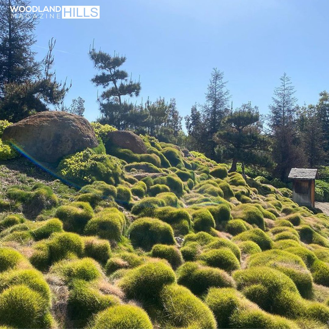 WH Magazine tweet media