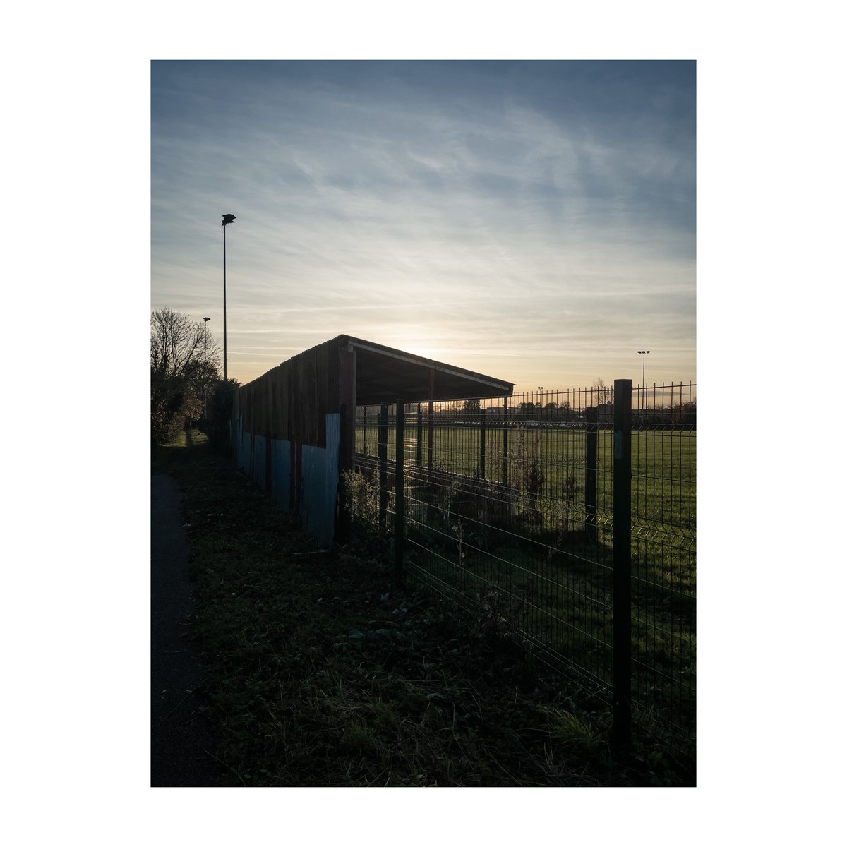 Simon Godfrey tweet media