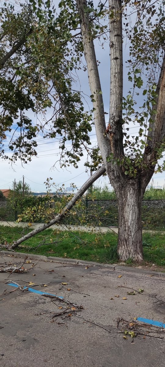 <a href="/ajuntamentvng/">Vilanova i la Geltrú</a> <a href="/juanluisruizvng/">Juan Luis Ruiz /❤️</a> <a href="/gerardllobet/">Gerard Llobet</a> <a href="/iolandasanchez/">Iolanda Sánchez</a> <a href="/1VilanovaNeta1/">Vilanova neta</a> 
Així està el carrer de Joncar, amb branques trencades penjant dels arbres, la calçada i voreres intransitables pels trossos de branques
On està la neteja?
#TAMBESOMDEVNG