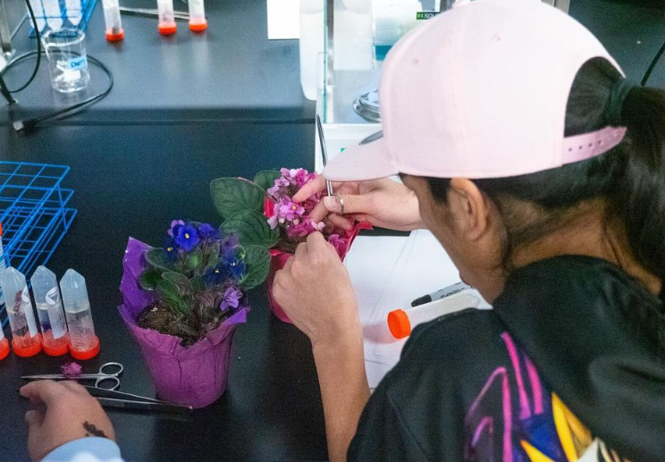 UFVscience's tweet photo. Last week @plantdrlauren & @goUFV hosted local high school students in the BERRI lab. They started their own micropropagation experiments with African violets & herbs. Hopefully we have a few more plant nerd converts!
#plantnerds #scienceinthevalley #BERRIlab #micropropagation https://t.co/QLELj4hfPZ