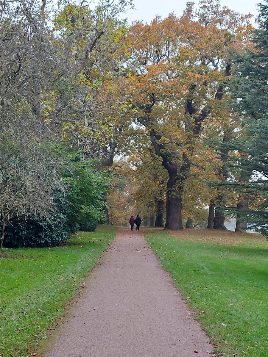 LlamaLorna's tweet image. #TECKNET #Autumn #Giveaway.
Little stroll to get some fresh air ❤️