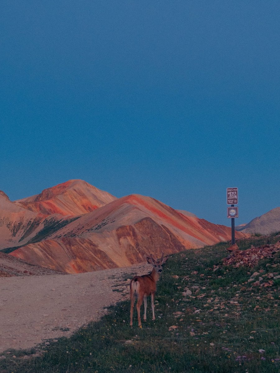 Nevin Johnson tweet media