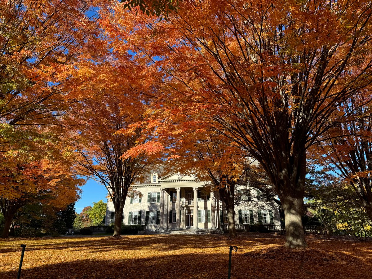 cmdowney's tweet image. One week (ish) left to apply: I'm recruiting Linguistics PhD students to come work with me on getting NLP to work for as wide a range of languages as possible! Apply below by December 1
sas.rochester.edu/lin/graduate/a…