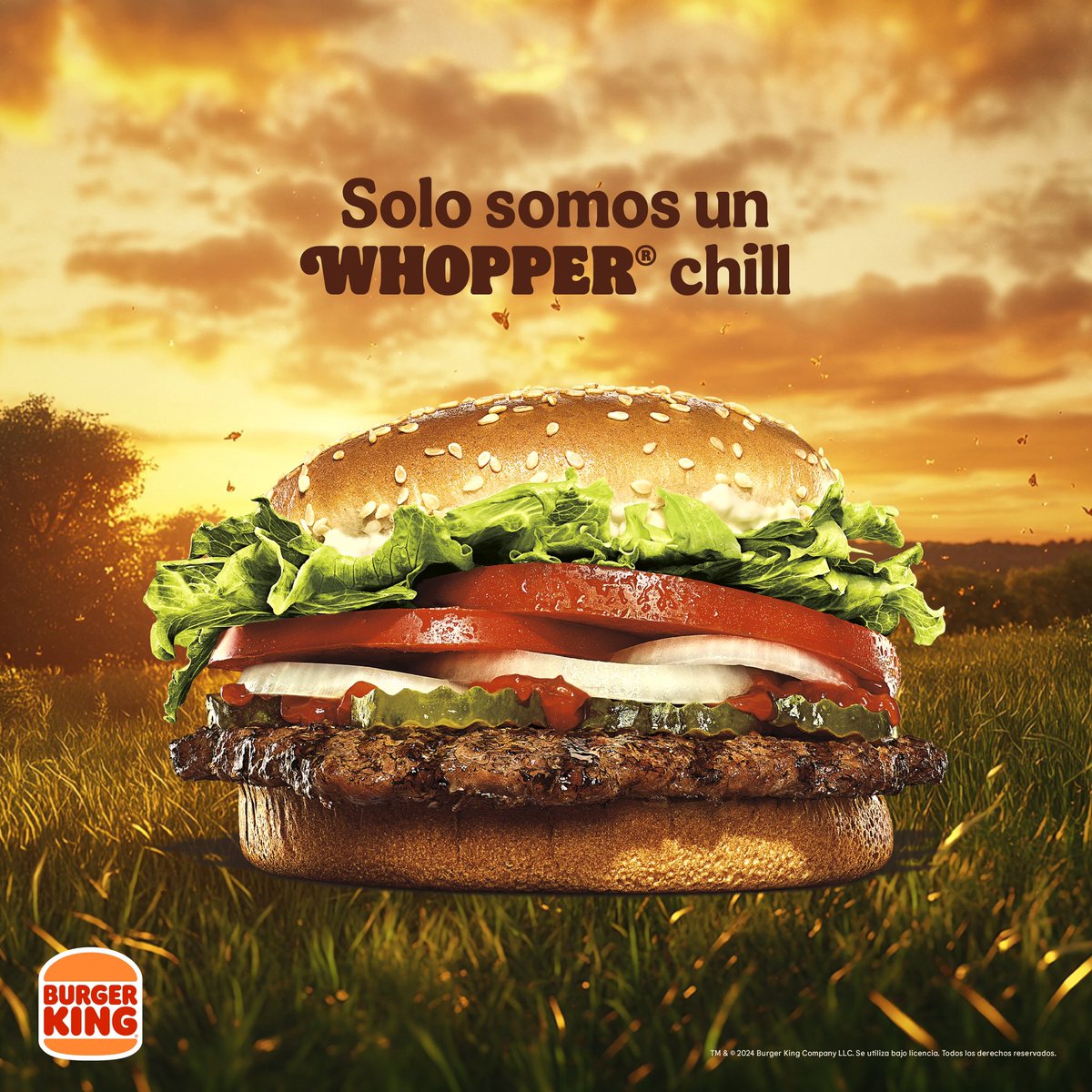 En la vida solo somos Chill guys con ganas de comer WHOPPER®. 🫣🍔