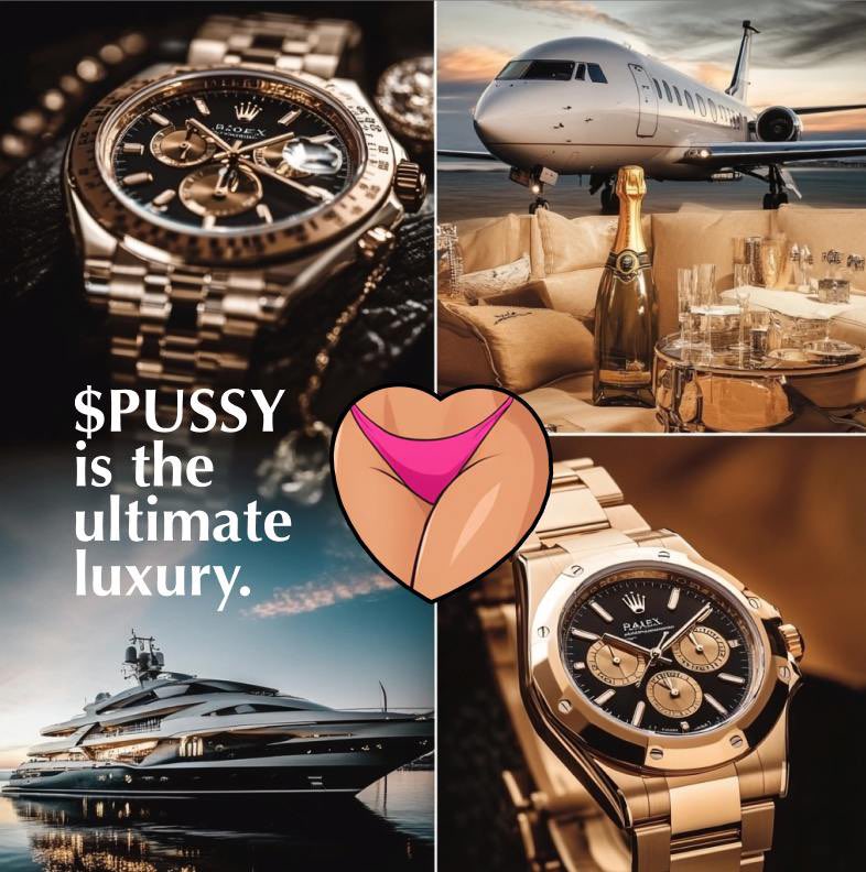 pussyonsol_cto's tweet photo. @pattyice Time to be timeless. Grab some $PUSSY https://t.co/qoYfRVWE5o
