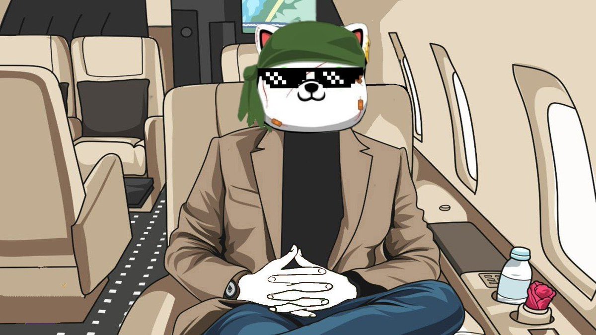 cryptometer2's tweet photo. Where my $KISHU holders at? 🐶@InuKishu https://t.co/qECvNU9A5Y
