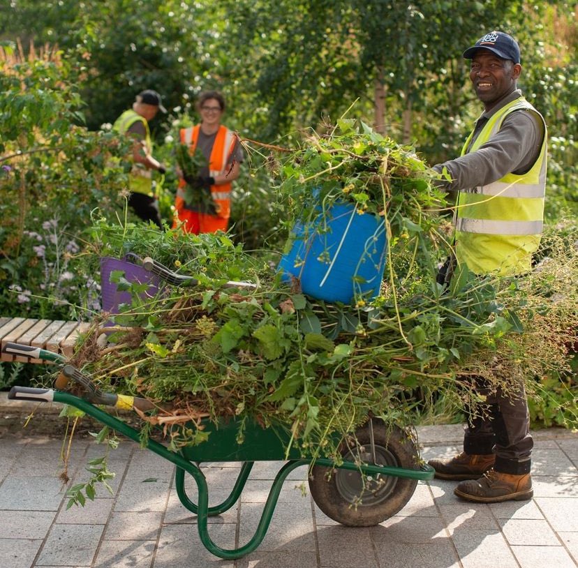 Green_Estate's tweet image. Hi @DeborahMeaden our fav green business advocate, we thought you might like to hear that a green #SocEnt won the @britishchambers Winner of Winners Award!  

We grow beautiful Meadows &amp;amp; Resilient Landscapes. 🌻💚 You are always welcome to visit if you are ever in Sheffield!